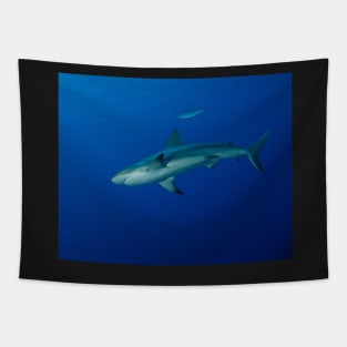 Caribbean Reef Shark Tapestry