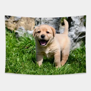 Labrador Puppies II / Swiss Artwork Photography Tapestry