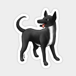 Dog - Xoloitzcuintli - Coated Black and White Magnet