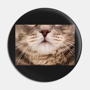 Funny Cat Face Pin