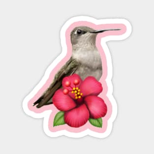 Hummingbird Hibiscus! Magnet