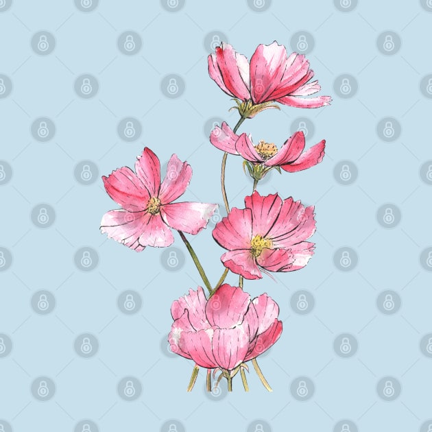 Pink Cosmos Flowers Watercolor Painting by Ratna Arts
