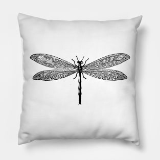 Dragonfly Sketch Pillow