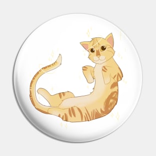 Cheeto is a cheeto Pin