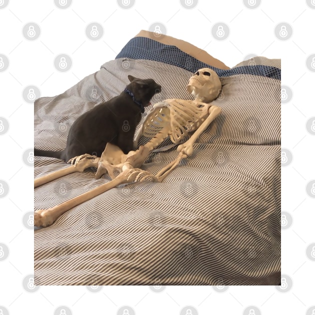 Skeleton Cat by poppersboutique