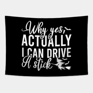 Why Yes I Can Actually Drive A Stick Tapestry