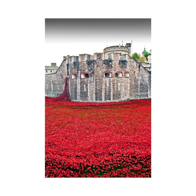 Tower of London Red Poppy Flowers by Andy Evans Photos