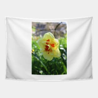 Narcissus Tahiti Tapestry