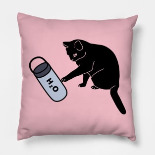 Black cat and water bottle Pillow