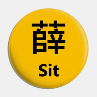 Chinese Surname Sit 薛 Pin