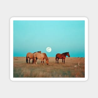 Horses Full Moon Western Landscape Magnet