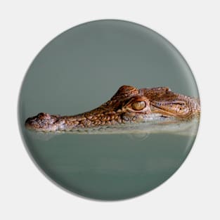 Crocodile Pin