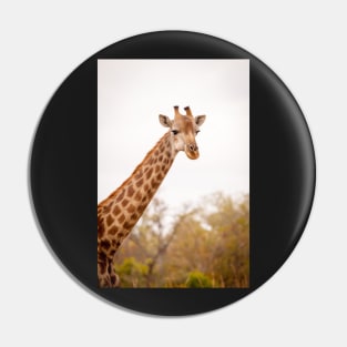 Head shot of a giraffe Pin