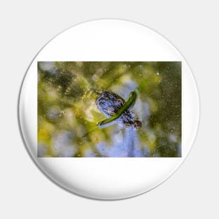 Wild Baby Alligator Pin