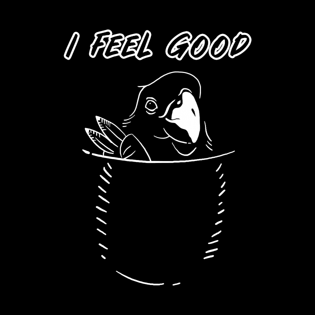 i feel good - bird in my pocket by supersonic.std