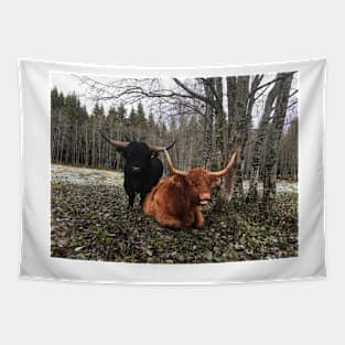 Scottish Highland Cattle Bull and Cow 2143 Tapestry