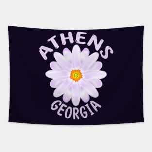 Athens Georgia Tapestry