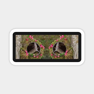 image flip mouse Magnet