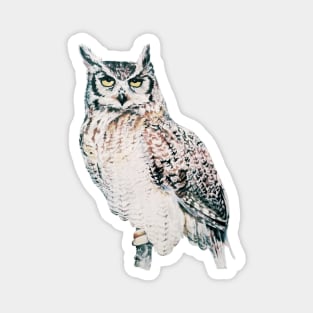 Great Horned Owl - watercolour bird portrait Magnet