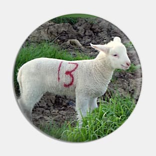 Cute Lamb 13th Pin