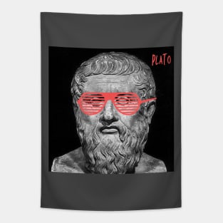 PLATO - swag version Tapestry