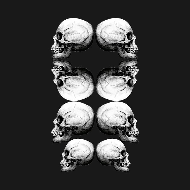 Skull Advanced Profile B&W by skyskull