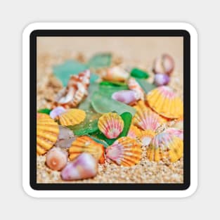 Sunrise Shells & Sea Glass Magnet