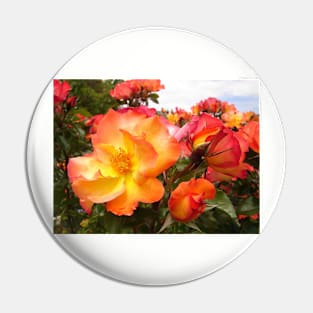 Red Yellow Orange Roses Pin