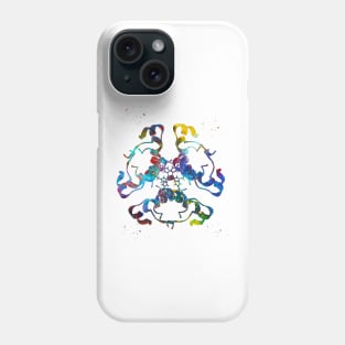 Insulin Structure Phone Case