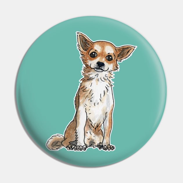 Long hair chihuahua Pin by Savousepate