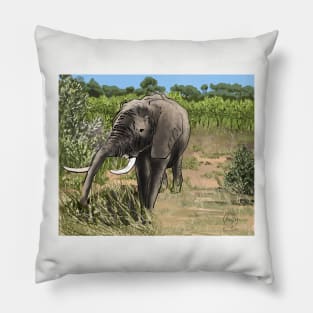 Zimbabwe in the bush Pillow