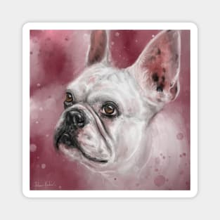 Painting of a White French Bulldog on Pink Red Background Magnet