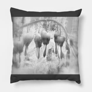 fairyland bleeding hearts, filtered black and white Pillow