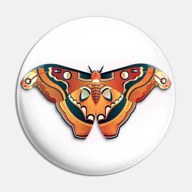 Atlas Moth Pin by jamesboast