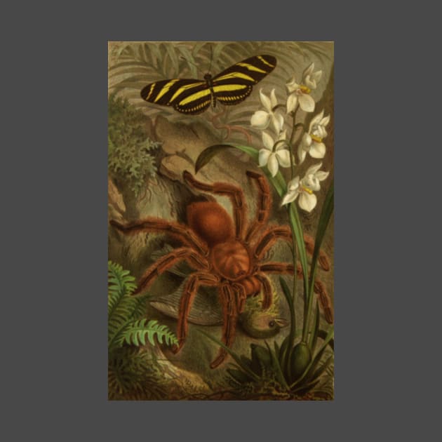 Vintage Tarantula by bluespecsstudio