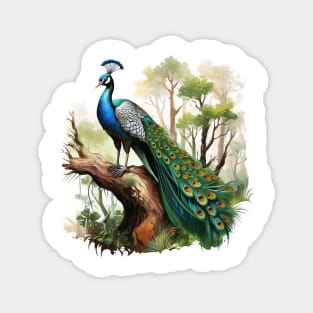 Peafowl Magnet