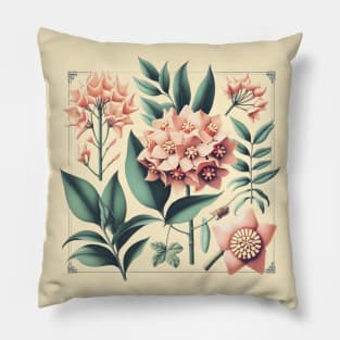 Hoya Carnosa Vintage Botanical Art Pillow