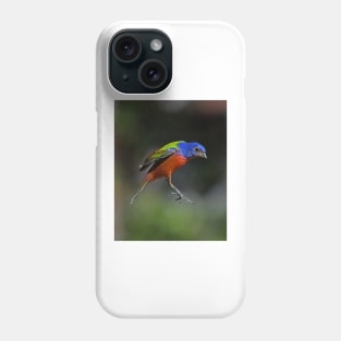 Painted Bunting Bird in Suspension Phone Case