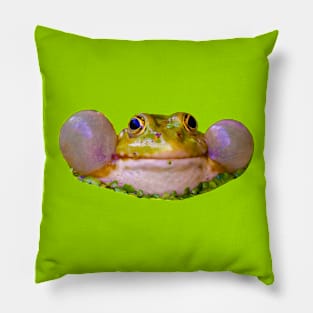 Amerous frog calling for a mate Pillow