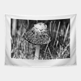 Shaggy Mane Mushroom Tapestry