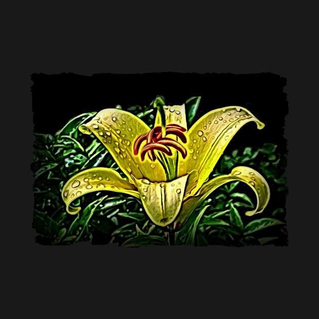 Yellow Daylily At Midnight by PhotoArts