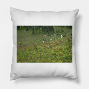 850_4597 Pillow