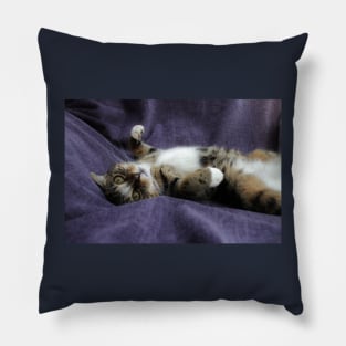 A Little Hesitation Pillow