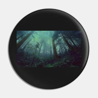 blue green forest Pin