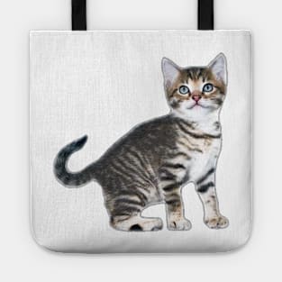 RDJ SPIDERMAN HOMECOMING CAT Tote