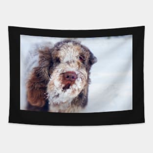 Snow Beard Spinone Tapestry