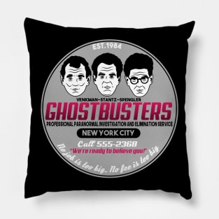 Professional paranormal investigation and elimination service Pillow