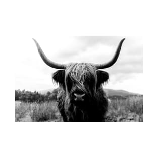 Scottish Highland Cattle - Black and White Animal Photography T-Shirt