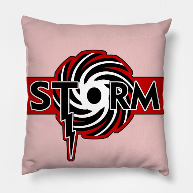 drakes storm Pillow by phxaz