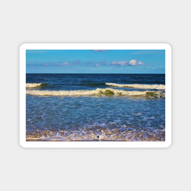 South Carolina Beach Magnet by Cynthia48